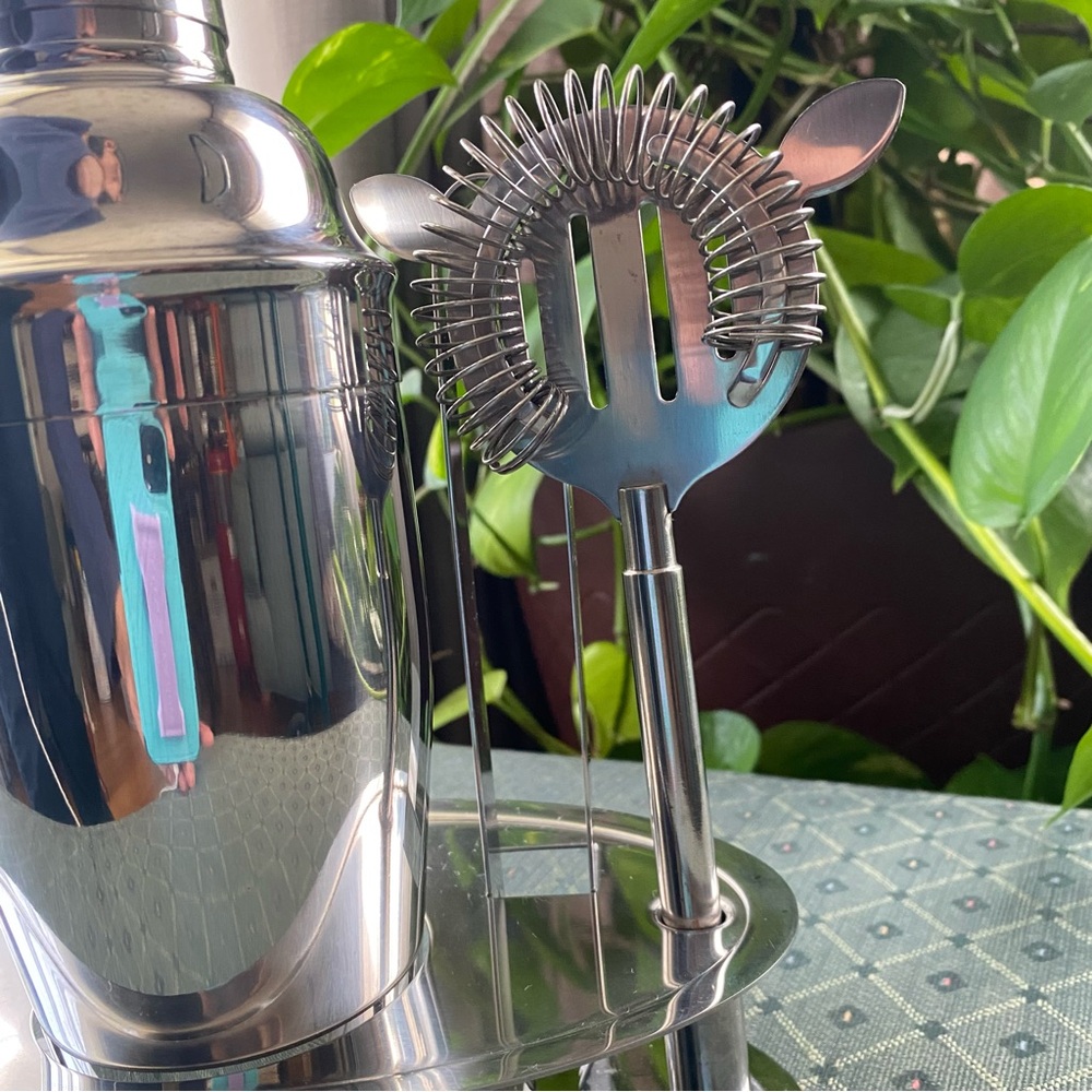 Pier 1 Imports Stainless Steel Cocktail Mixer Bar 6 piece Tool Set - Picture 3 of 11